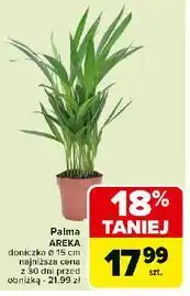 Carrefour Palma areka oferta