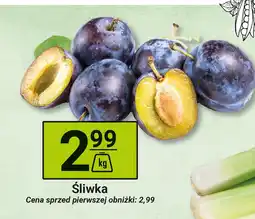 Hitpol Śliwka Hitpol oferta