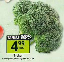 Hitpol Brokuł Hitpol oferta