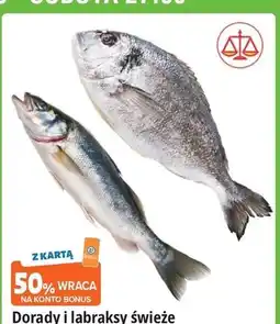 E.Leclerc Labraks oferta