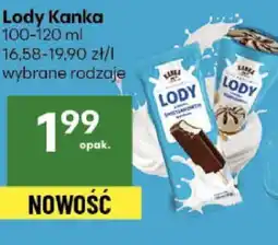 Delikatesy Centrum Lody Kanka 100-120ml oferta