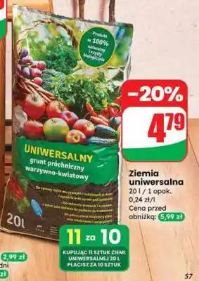 Dino Ziemia uniwersalna oferta