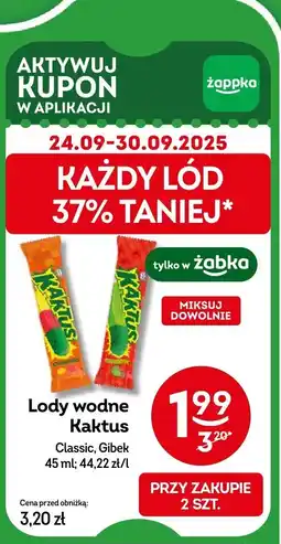Żabka Lody wodne Kaktus oferta