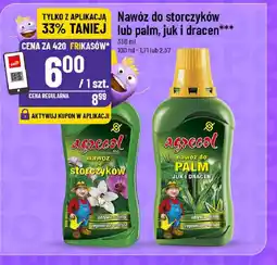 Polomarket Nawóz do storczyków lub palm, juk i dracen oferta