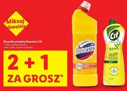 Lidl Produkty marki Domestos i Cif oferta