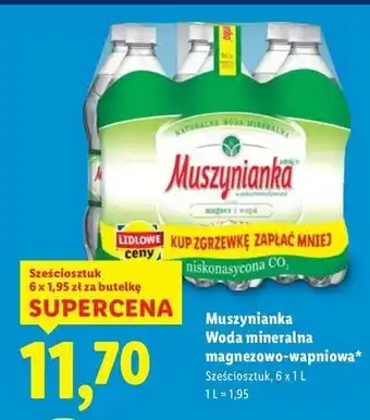 Lidl Woda niegazowana Muszynianka oferta