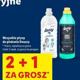 Lidl Płyn do płukania hindi touch Doussy oferta
