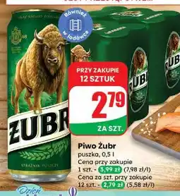 Dino Piwo Żubr 1768 oferta