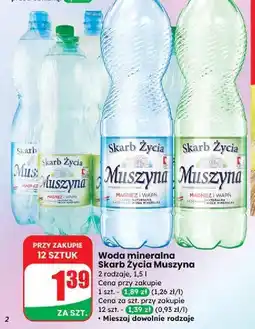 Dino Woda lekko gazowana Muszyna Skarb Życia oferta