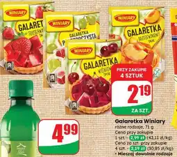 Dino Galaretka przezroczysta winogronowa Winiary oferta