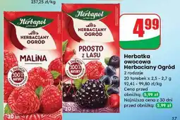 Dino Herbata prosto z lasu Herbapol Herbaciany Ogród oferta