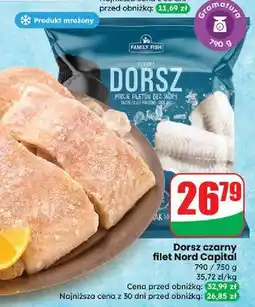 Dino Dorsz czarny filety Family Fish oferta