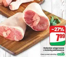 Dino Golonka z kością Agro Rydzyna oferta