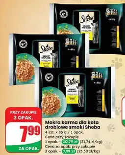 Dino Karma dla kota drobiowa Sheba Delicato oferta