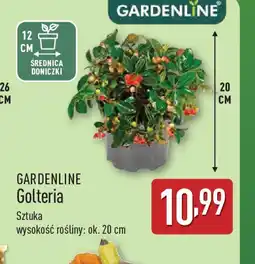 ALDI Gardenline Golteria oferta