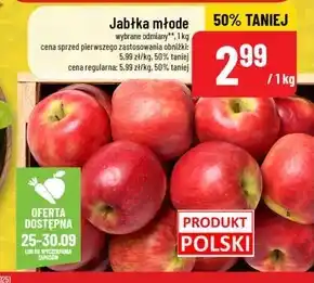 Polomarket Jabłka Polski oferta