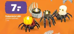 Netto Dekoracja LED oferta