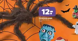 Netto Dekoracja pająk oferta