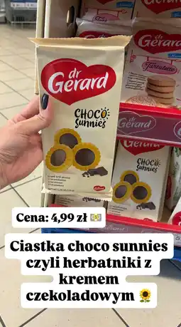 Dino Ciastka choco sunnies dr Gerard oferta