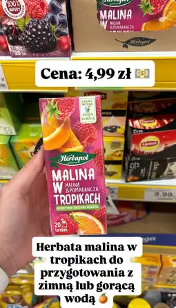 Dino Herbata malina w tropikach Herbapol oferta