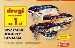 Biedronka Wszystkie jogurty Fantasia DRUGI ZA 1 ZŁ oferta