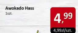 Market Point Awokado Hass 1szt. Market Point oferta
