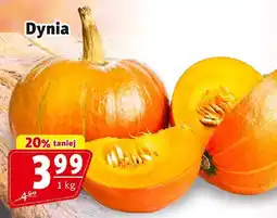 Prim Market Dynia 1 kg Prim Market oferta