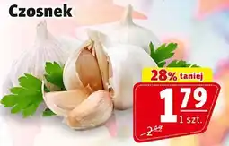 Prim Market Czosnek 1 szt. Prim Market oferta