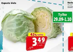 Prim Market Kapusta biała Prim Market oferta