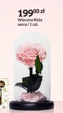 Empik Róża Empik oferta