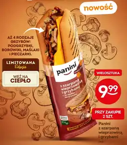 Żabka Panini oferta