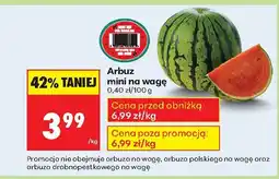 Biedronka Arbuz mini na wagę Biedronka oferta