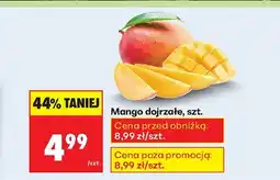 Biedronka Mango dojrzałe Biedronka oferta