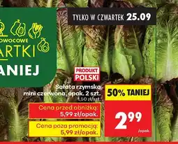 Biedronka Sałata rzymska mini czerwona Biedronka oferta