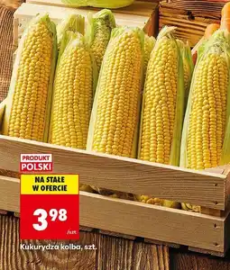 Biedronka Kukurydza kolba Biedronka oferta