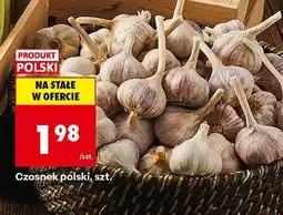 Biedronka Czosnek polski Biedronka oferta