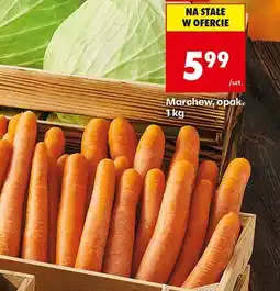Biedronka Marchew opak. Biedronka oferta