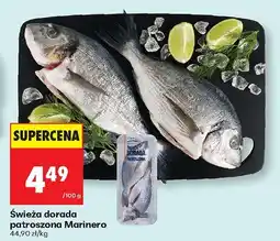 Biedronka Świeża dorada patroszona Marinero oferta