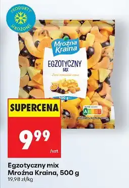 Biedronka Egzotyczny mix Mroźna Kraina 500g oferta