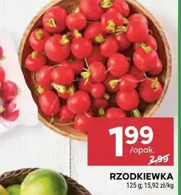 Stokrotka Rzodkiewka 125g Stokrotka oferta