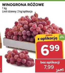 Stokrotka Winogrona różowe Stokrotka oferta