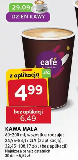 Stokrotka Kawa mała Stokrotka oferta