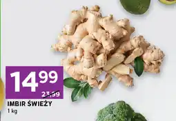 Stokrotka Imbir świeży Stokrotka oferta
