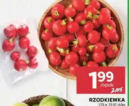 Stokrotka Market Rzodkiewka oferta