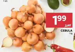 Stokrotka Market Cebula oferta