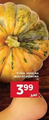 Stokrotka Market Dynia jadalna Muscat, piżmowa oferta
