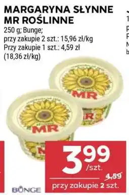 Stokrotka Market MARGARYNA SŁYNNE MR ROŚLINNE oferta