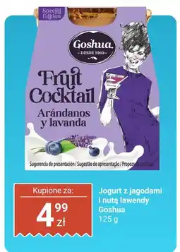 Dino Jogurt z jagodami i nutą lawendy Goshua oferta