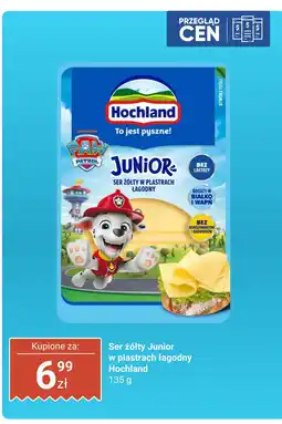Dino Ser żółty Junior w plastrach łagodny Hochland oferta