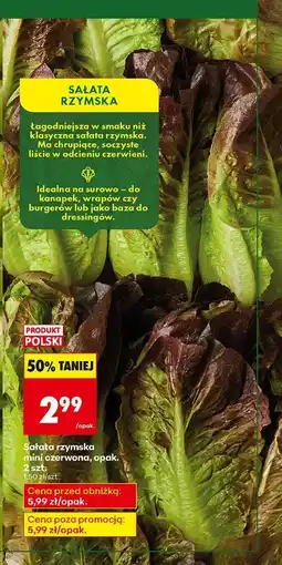 Biedronka Sałata rzymska mini czerwona, opak. 2 szt. Biedronka oferta